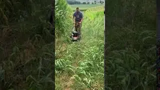 New DR String Trimmer Mower