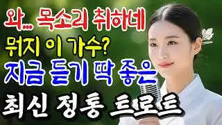 돌아보니 이 또한 인생이더라, 들으면 울컥 눈물 나는 중년 최신 감성 트로트 메들리 10곡｜지친 인생에 위로가 되는 노래ㅣ트로트발라드ㅣ7080트로트ㅣ뽕짝ㅣ트로트명곡 #trot
