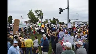 Thousands Gather at 'No Kings' Protest in Gurnee, IL 10/18/25