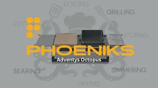 Adventys Octopus Pack | Phoeniks