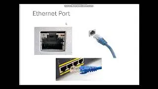 Different types of Ports and cable in Computer Std IX X#computer #computerports #ports