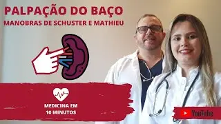 Manobras de Palpação do Baço: Manobra de Schuster  e Manobra de Mathieu Cardarelli.