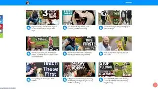 GooglrCash Review - Legit or a Scam?