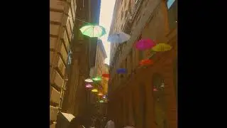 Arte Fiorente - Sounds and Colors