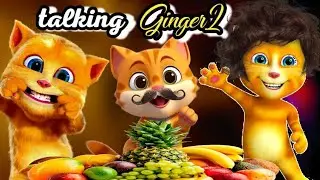 talking ginger 2🤣 |  effectstalking ginger 2 😺 | trailertalking tom cat 2 #cat #funny #cartoon