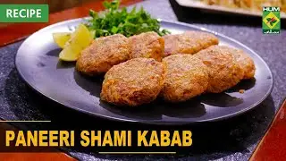 Paneeri Shami Kabab Recipe | Flame On Hai | Irfan Wasti | 24 September 2022 | Masala Tv