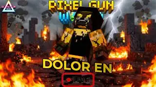 El SUFRIMIENTO persiste en la meta del Nivel 20 - Pixel Gun World