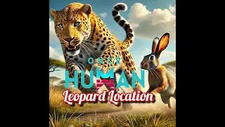 Leopard Location Once Human Updates 2.2.1