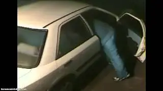 Ferndale WA thief