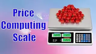best Price Computing Scale 2021