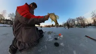 Ice Fishing Blue Gill, Black Crappie, and Bass.