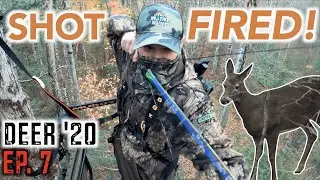Deer at 12 YARDS! | 2020 MAINE Deer Hunting