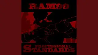 Professional Standards