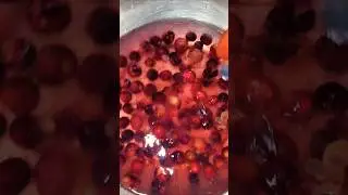 Falsa Sharbat #falsa