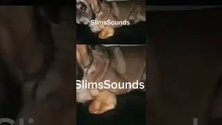 Beats Beats Beats, I&rsquo;m sniffing Feet Feet Feet.   New beat up, will have part 2    #music #beats