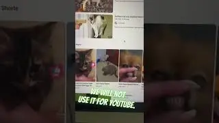 1000$ from YouTube #earnmoneyonline #capcut #earning #makemoneyonline #editing