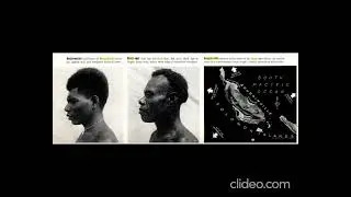 Bougainvilleans- Pacific Negroids #bougainville #pacific #negroids