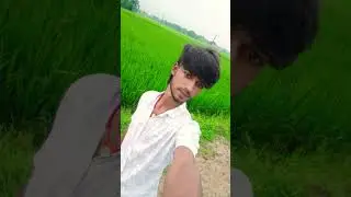 Address: Street, Apt, City, Country/Region, Province, Postal bewafa