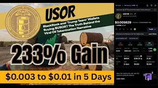 USOR coin 233% in 5 days. How high will it go?
