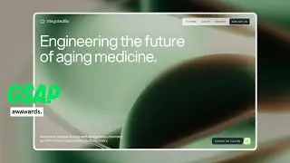 Build an Awwwards-Style Website Using HTML, CSS & GSAP | Modern Web Design Tutorial