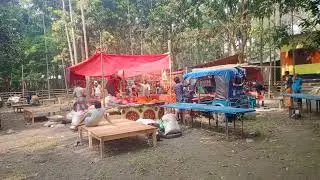 Open market in Bangladesh  Beautiful, beautiful! 7