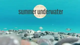 Relaxing Underwater world of Summer in South Crete
