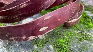 Đi t&igrave;m cảm x&uacute;c từ c&acirc;y dao M&ocirc;ng