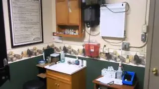 Examination room 3 at Riverside Animal Hospital