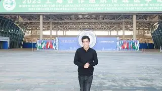 GLOBALink | Pakistani student feels charm of AI diagnosis, TCM integration