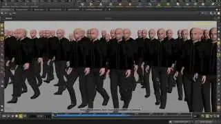 Crowds Ragdolls