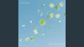 Little Miracles