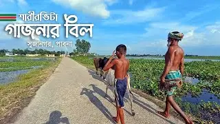 শারীরভিটা গাজনার বিল, সুজানগর, পাবনা ।। Sharirvita Gajnar Bil, Sujanagar, Pabna