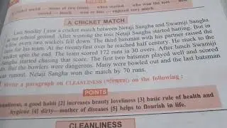 paragraph a cricket match