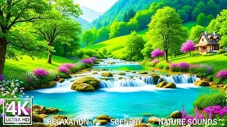 Beautiful Relaxing Music &ndash; Stop Overthinking, Stress Relief, Sleep Music for Calm Mind #1