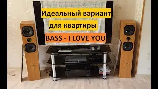Идеальный вариант для квартиры Audio Pro Evidence E.6 &ndash; любительский обзор от Макса