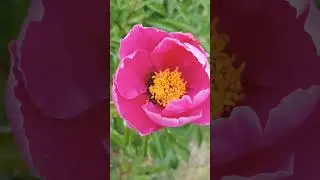 Нельзя так работать!