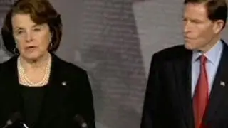 Democratic Senate Reaction to the NRA Response to the Sandy Hook School Shooting
