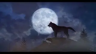 What Is the Wolf Hour: How Does It Affect Our Sleep?
