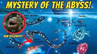The Most Mysterious Creatures of the Deep Sea (Full Documentary) @Mythpat #edit #youtube #video 