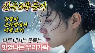 🎧목소리에 한(恨)이 서렸구나🍂세월을 위로하는 사극풍 인생곡 3종 #국악트로트