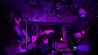 Bird sanctuary &mdash; 22 degree halo live