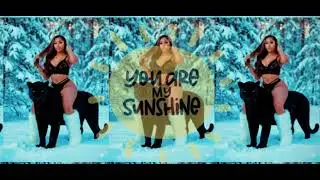 lil flip x sunshine ★