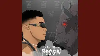 Bison