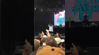 Elcalvador&rsquo;s Throwback Concert Series: Action Bronson Live At Gov Ball 2016