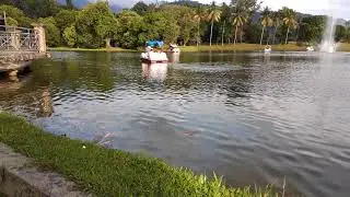 Xiaomi Redmi 5 Plus 4K Video Test RAW