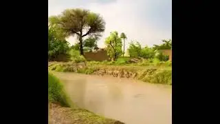 Insan ki ijadat