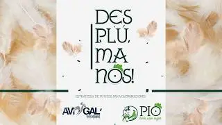 MEJOR MENSAJE EN MARKETING DIRECTO Y PROMOCIONAL