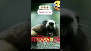 viral#kokir#re#a#fokir new trending video viral