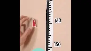 Wall Height Chart Growth Chart for Kids