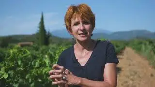 LABELSCAPE - Sustainable tourism product development